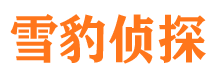 定州市侦探调查公司